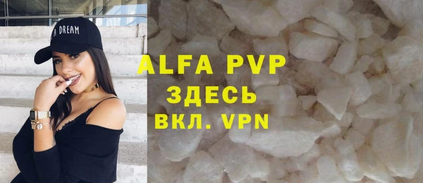 ГАЛЛЮЦИНОГЕННЫЕ ГРИБЫ Белокуриха