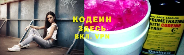 спиды Богородск