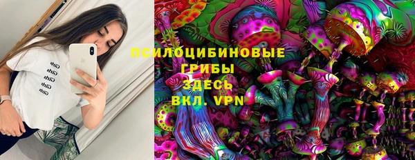 mdma Богородицк