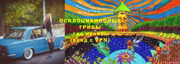 каннабис Бородино
